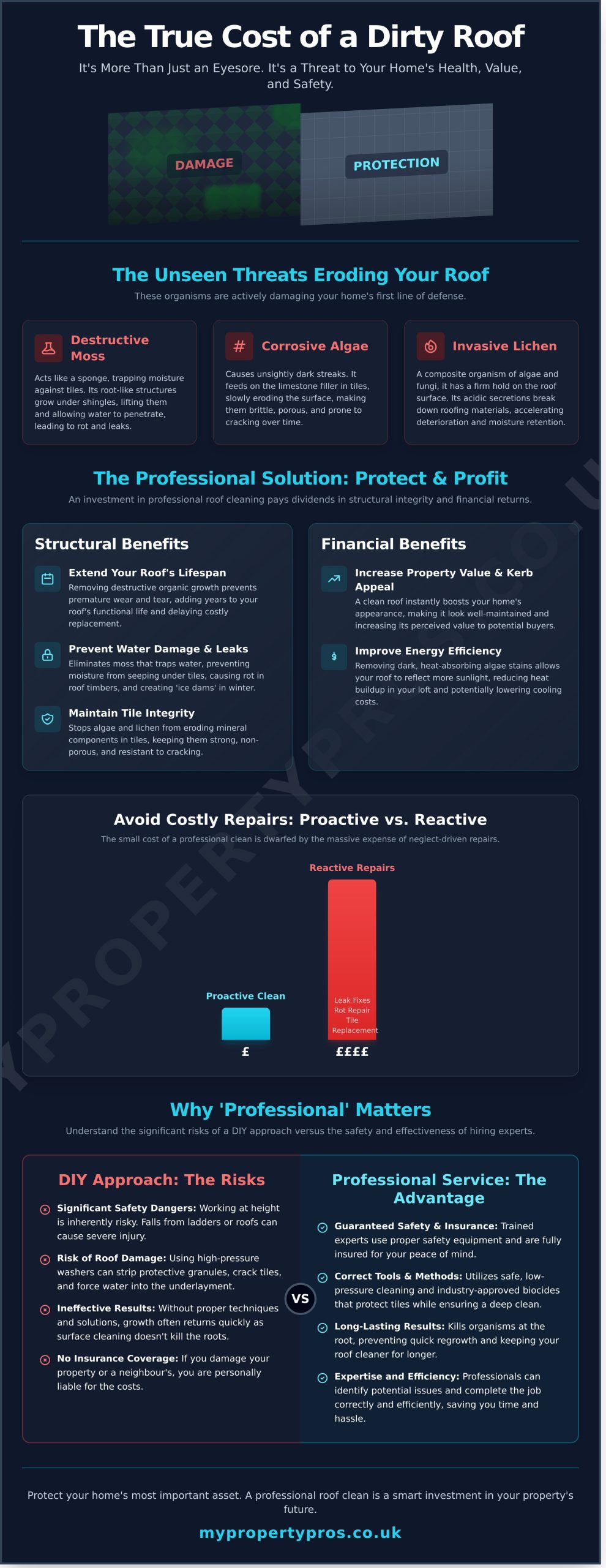 9 Key Benefits of Professional Roof Cleaning for Your Home - Infographic