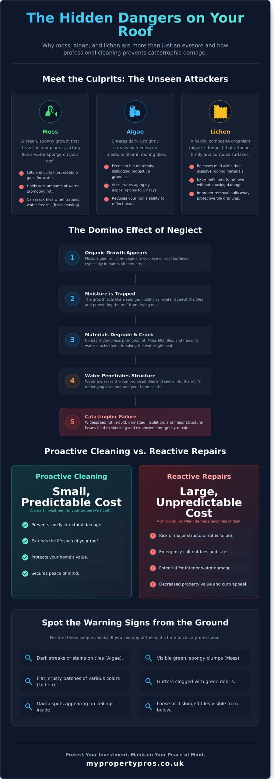Why Roof Cleaning is Essential to Prevent Long-Term Damage - Infographic